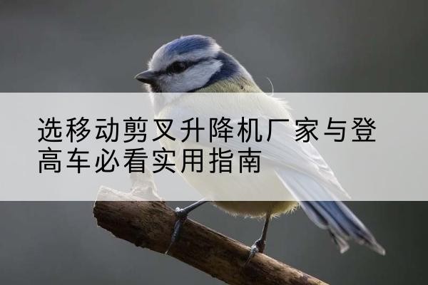 澄江电动升降机厂家-选移动剪叉升降机厂家与登高车必看实用指南