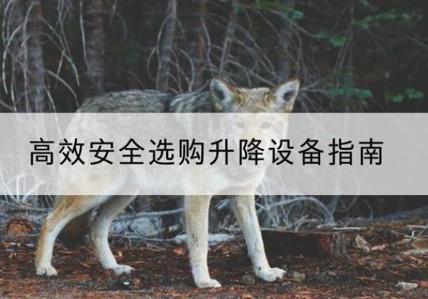 澄江升降货梯厂家推荐-*安全选购升降设备指南