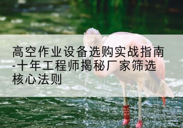 澄江剪叉式升降机厂家-高空作业设备选购实战指南-十年工程师揭秘厂家筛选核心法则